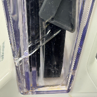 Invitrogen Mini Gel Tank image 3